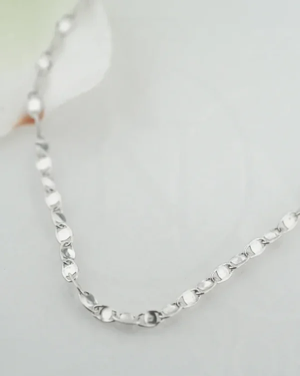 SREBRNI LANČIĆ (S260326-161002)