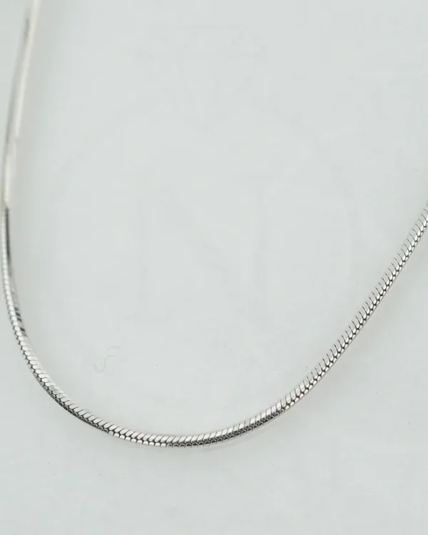 SREBRNI LANČIĆ (S260326-161118)