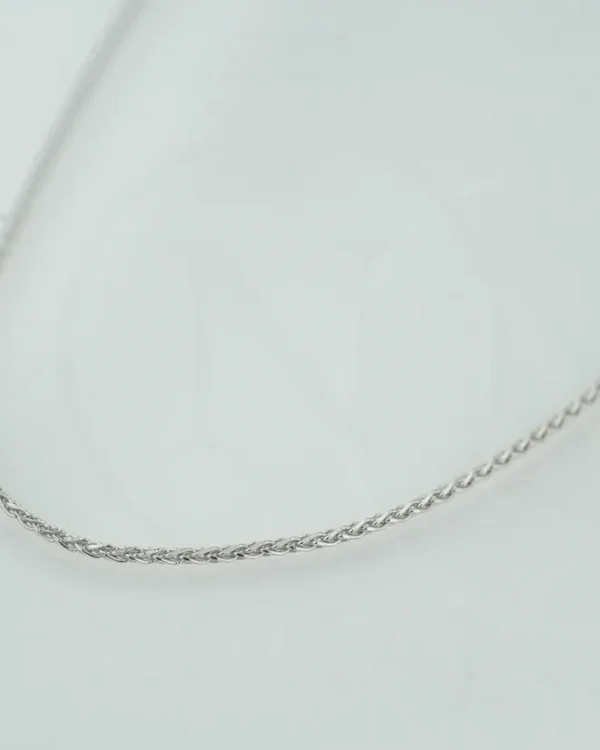 SREBRNI LANČIĆ (S260326-161735)