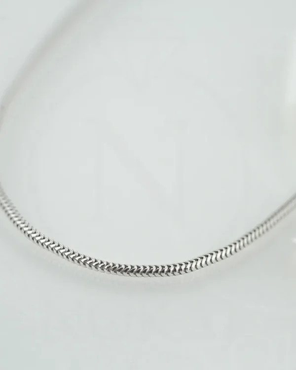 SREBRNI LANČIĆ (S260326-161830)