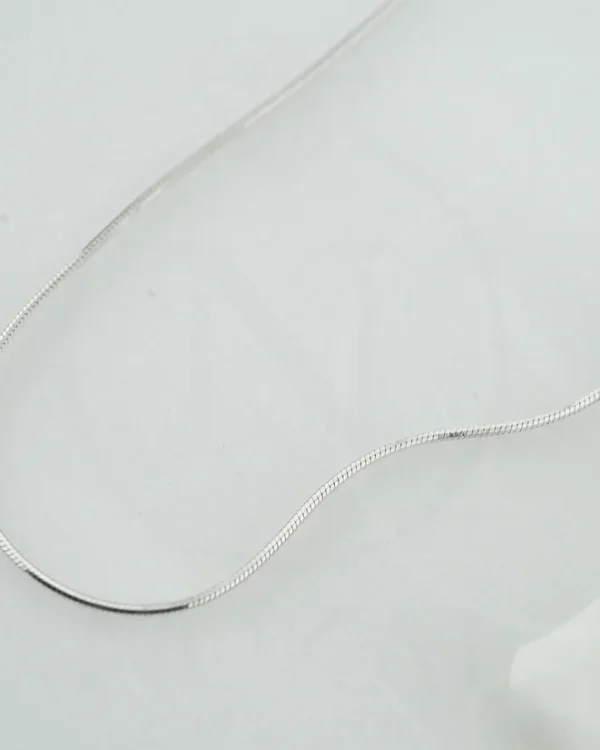 SREBRNI LANČIĆ (S260326-162030)