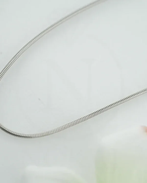 SREBRNI LANČIĆ (S260326-162205)