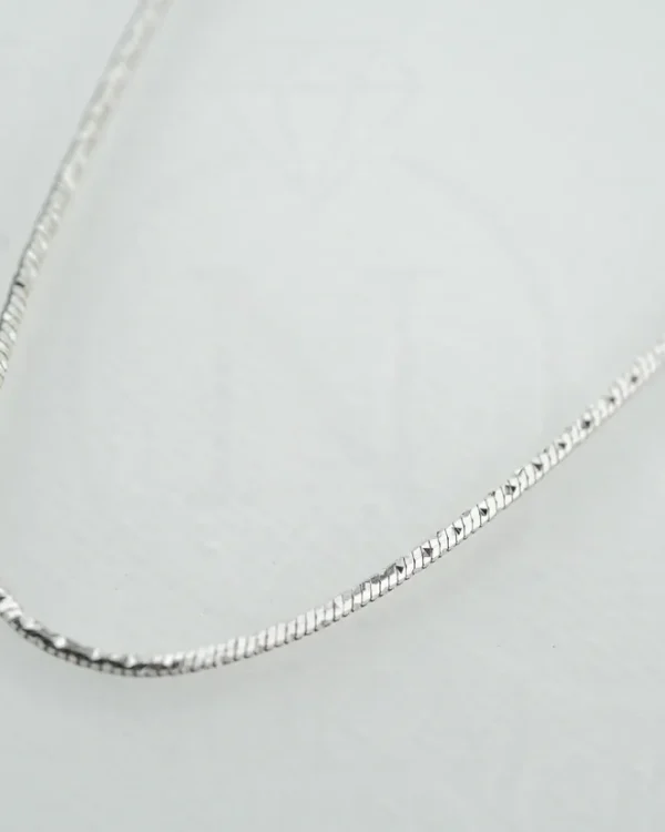 SREBRNI LANČIĆ (S260326-162259)