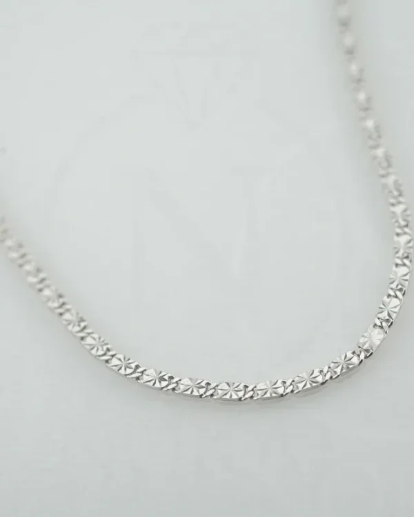 SREBRNI LANČIĆ (S260327-152642)