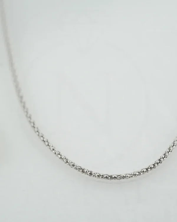 SREBRNI LANČIĆ (S260327-152938)