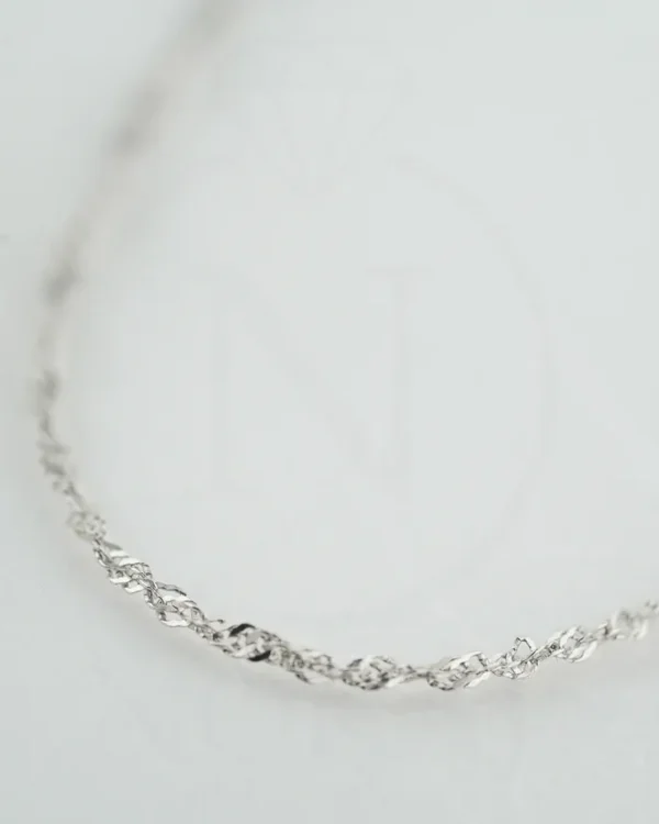 SREBRNI LANČIĆ (S260327-153551)