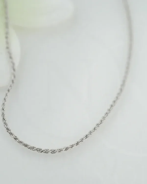 SREBRNI LANČIĆ (S260327-153750)