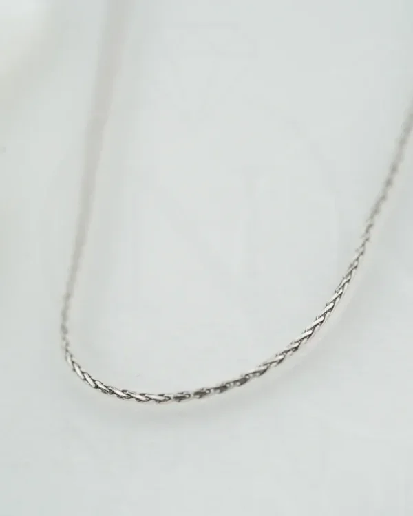 SREBRNI LANČIĆ (S260327-153903)