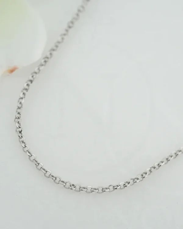 SREBRNI LANČIĆ (S260327-154323)