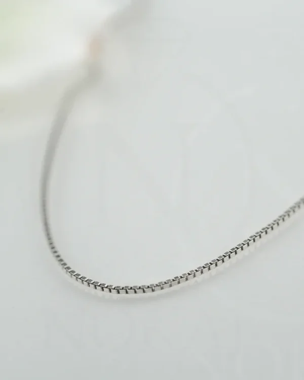 SREBRNI LANČIĆ (S260327-154446)