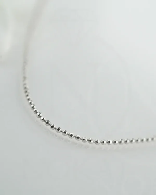 SREBRNI LANČIĆ (S260327-154600)