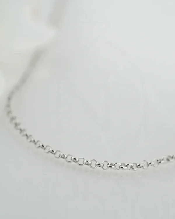 SREBRNI LANČIĆ (S260327-154651)