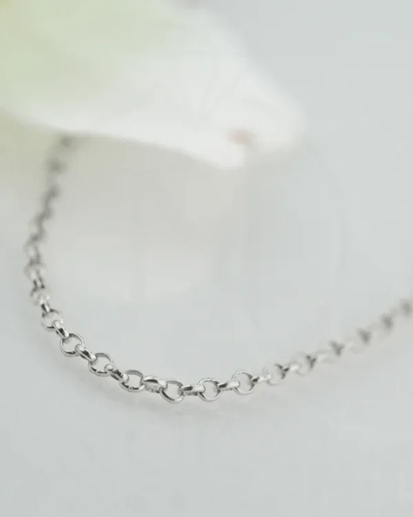 SREBRNI LANČIĆ (S260327-154728)