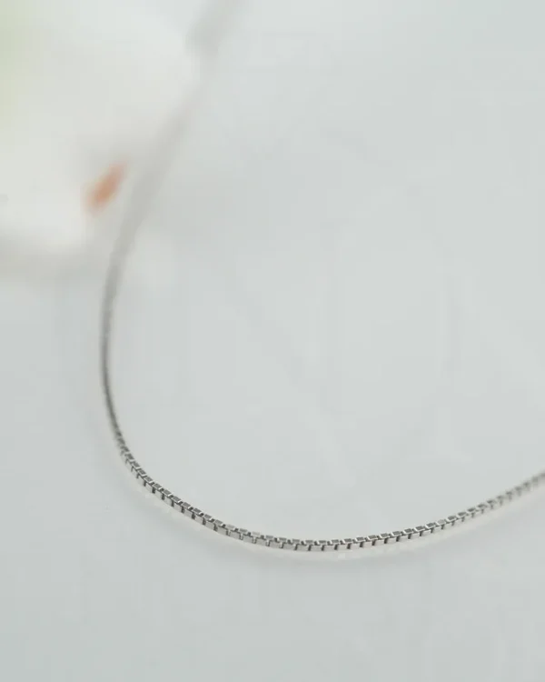 SREBRNI LANČIĆ (S260327-154816)