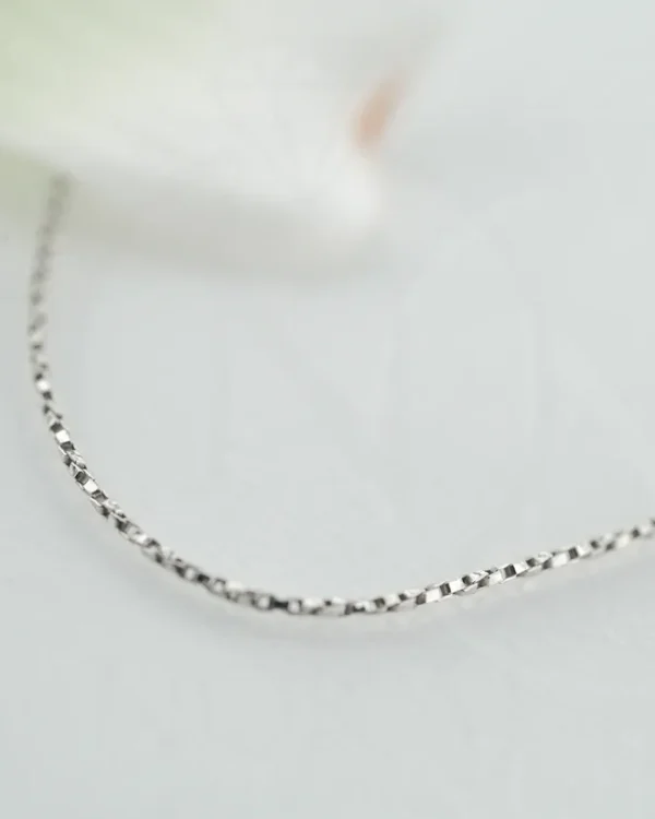 SREBRNI LANČIĆ (S260327-154908)