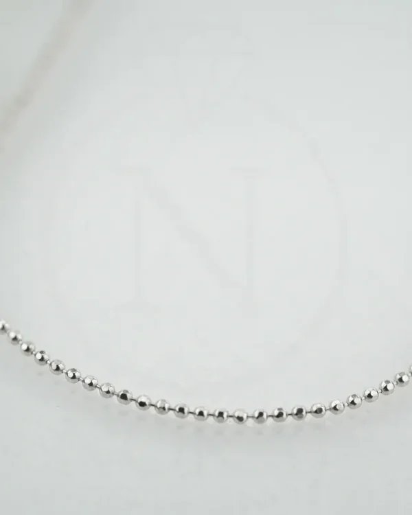 SREBRNI LANČIĆ (S260327-155023)