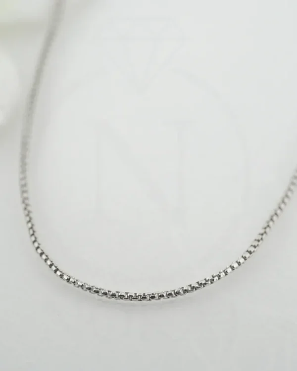 SREBRNI LANČIĆ (S260327-155108)