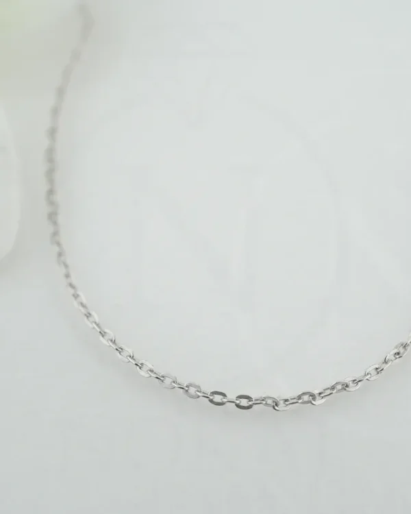 SREBRNI LANČIĆ (S260327-155158)