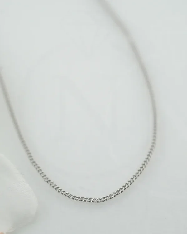 SREBRNI LANČIĆ (S260327-155311)