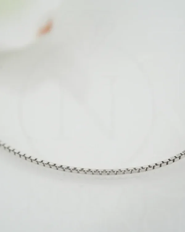 SREBRNI LANČIĆ (S260327-155409)