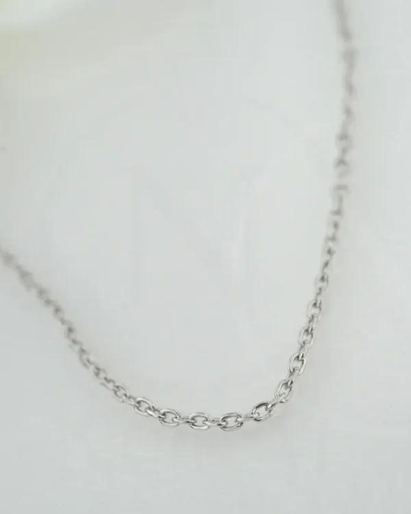 SREBRNI LANČIĆ (S260327-155449)