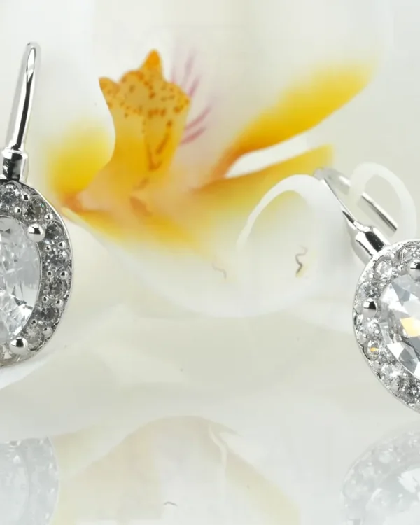 SREBRNE NAUŠNICE S CIRKONIMA (S260331-134640)