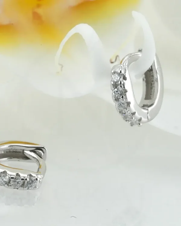 SREBRNE NAUŠNICE S CIRKONIMA (S260331-140155)