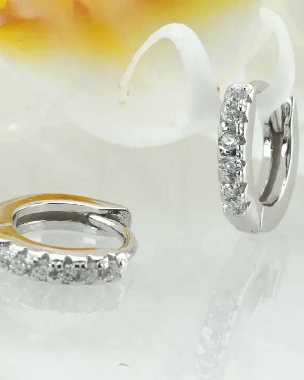 SREBRNE NAUŠNICE S CIRKONIMA (S260331-140710)