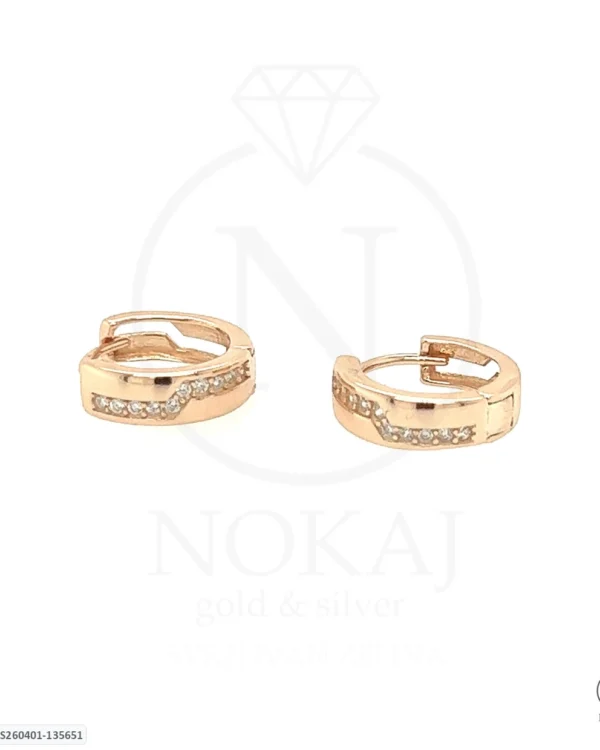 SREBRNE NAUŠNICE S CIRKONIMA (S260401-135651)