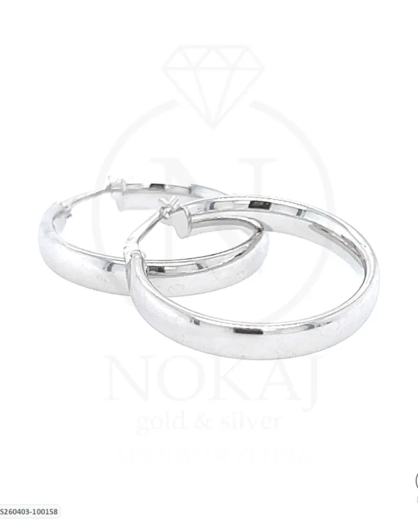 SREBRNE NAUŠNICE (S260403-100158)