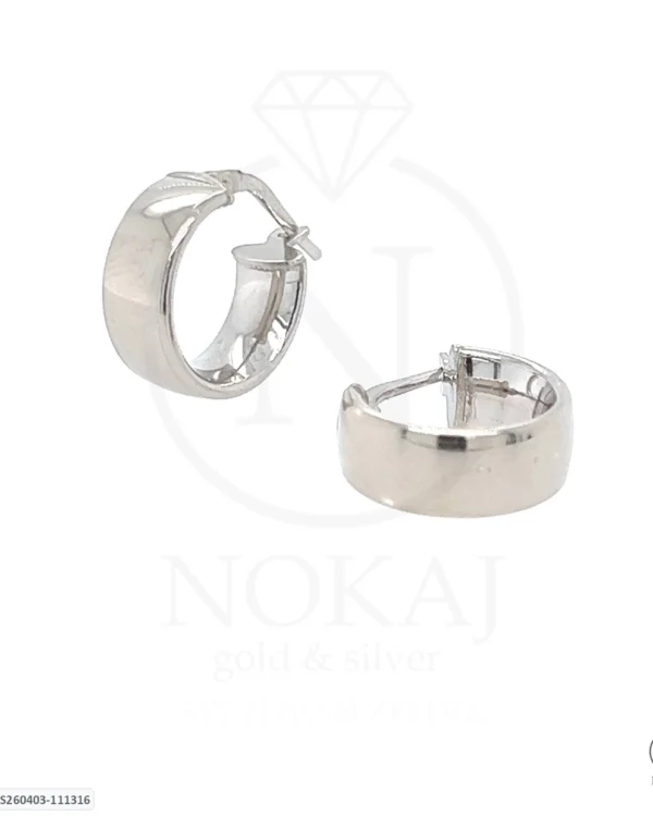 SREBRNE NAUŠNICE (S260403-111316)