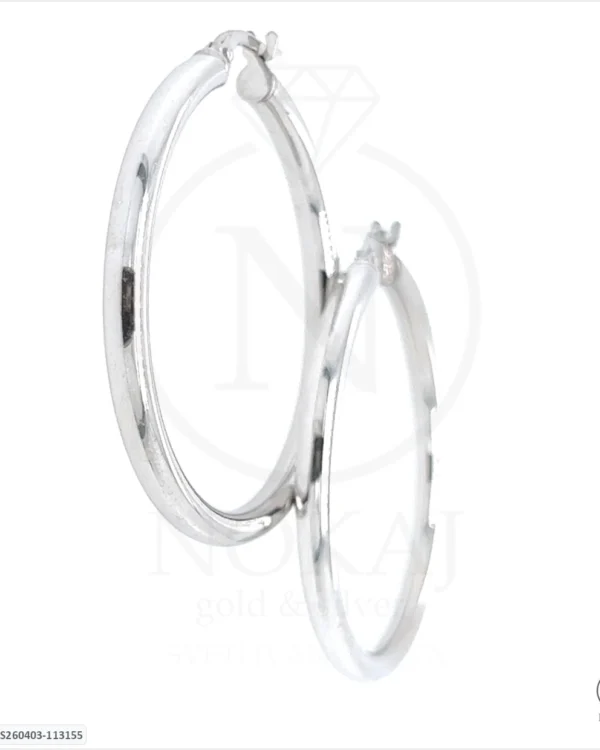 SREBRNE NAUŠNICE (S260403-113155)