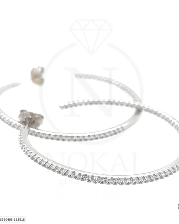 SREBRNE NAUŠNICE (S260403-113518)