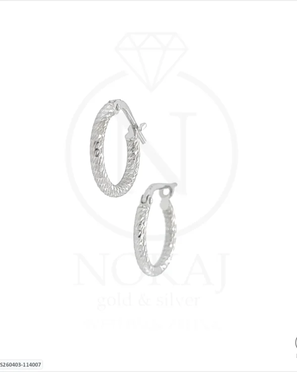 SREBRNE NAUŠNICE (S260403-114007)